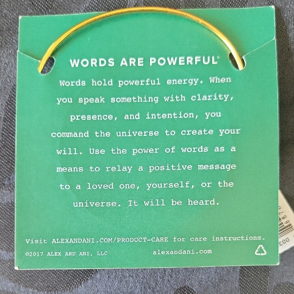Alex and Ani Gold Bangle Bracelet - Picture 4 of 4